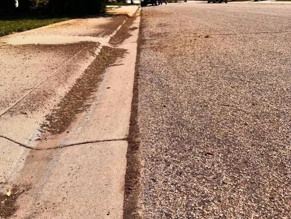 Affordable yard cleanup service experts serving Boise, ID - 10/10 Lawn & Lighting