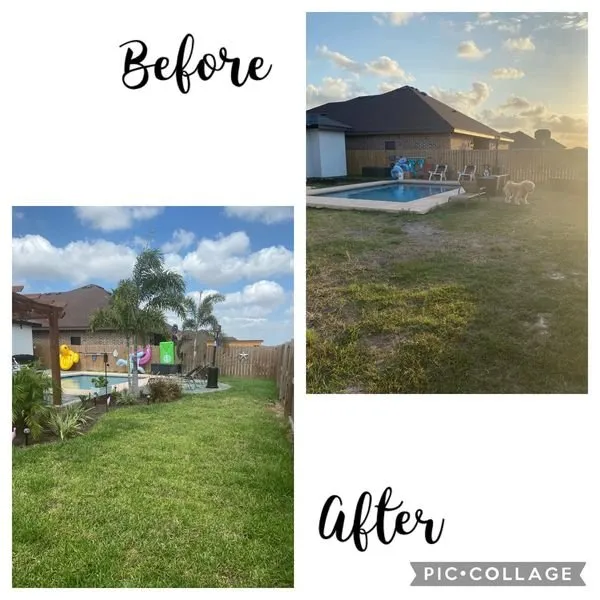 Local garden landscaping for beautiful yards in Edinburg, TX by 107 Garden Center