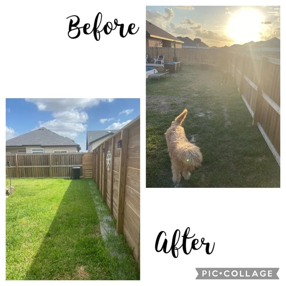 Professional outdoor landscaping in Edinburg, TX by 107 Garden Center