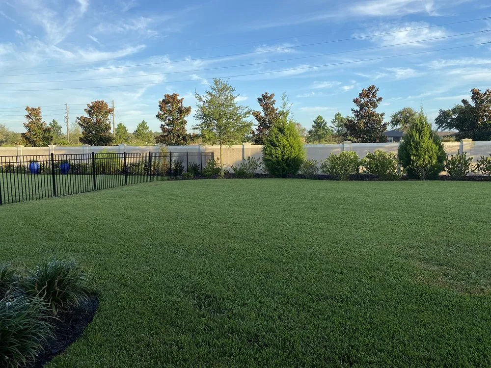 Local yard cleanup service for year-round maintenance across Augusta, GA - 10speed Lawncare