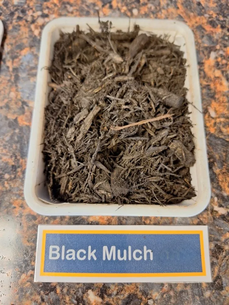 Reliable lawn care service in Hobart, IN by 10X Better Lawn and Landscape