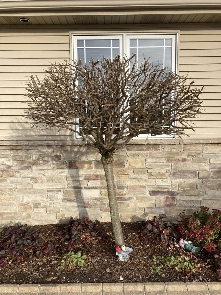 Custom outdoor landscaping for homes across Hobart, IN - 10X Better Lawn and Landscape