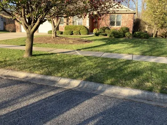 10X Better Lawn and Landscape