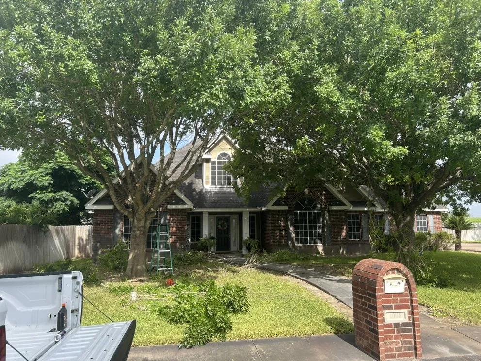 Local garden landscaping in Donna, TX - 10X TMF