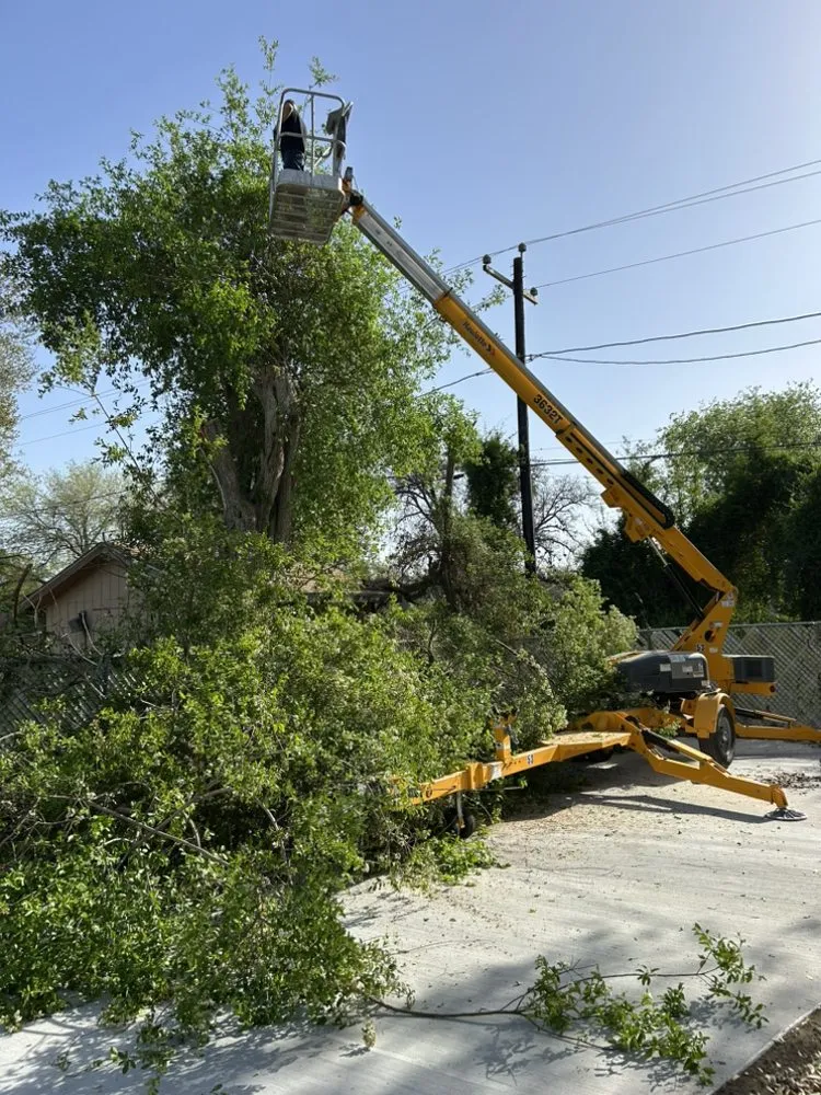 Reliable residential landscaping in Donna, TX by 10X TMF
