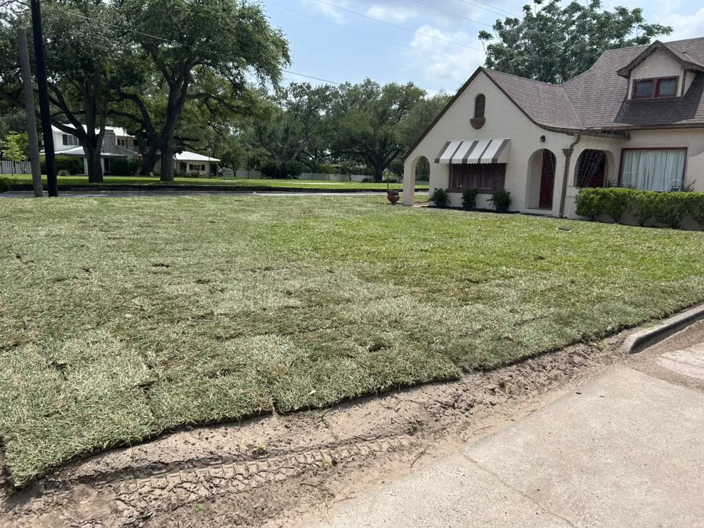 Local yard cleanup service for residential properties in Donna, TX by 10X TMF