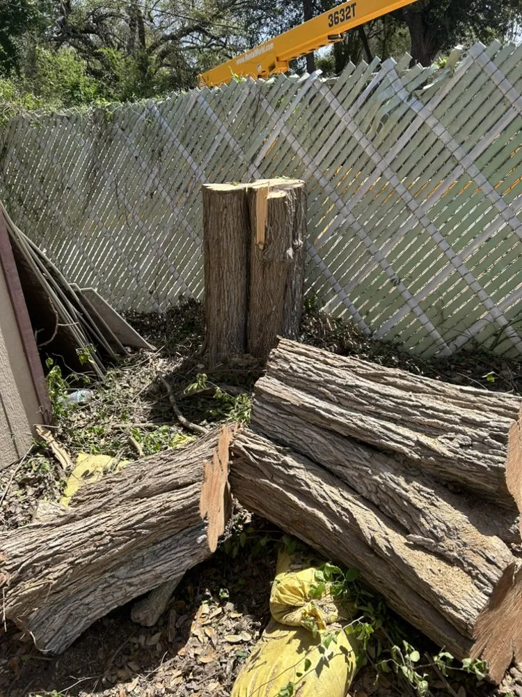 Local yard maintenance in Donna, TX by 10X TMF