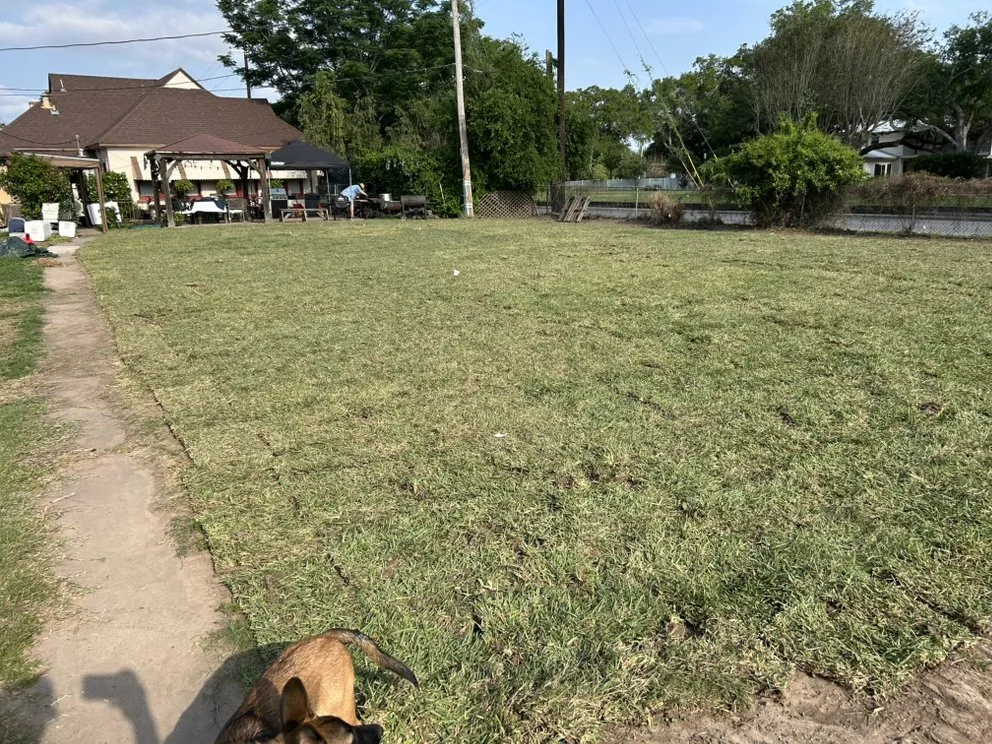 Reliable lawn care service experts serving Donna, TX - 10X TMF