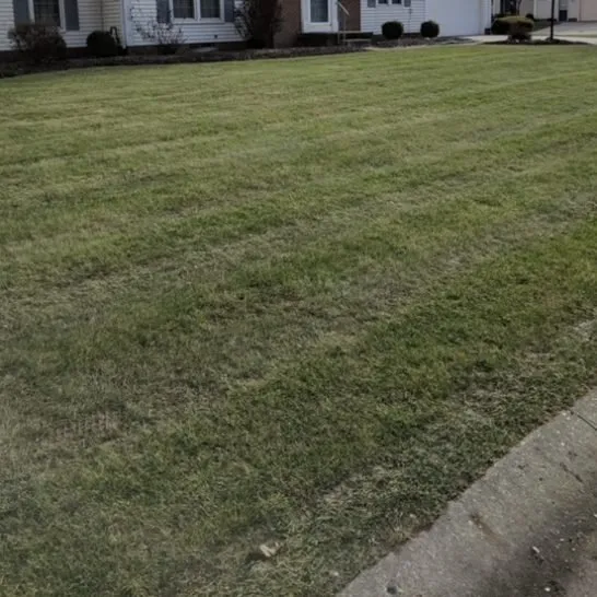 Trusted landscape installation experts serving Uniontown, OH - 11:11 Property Management