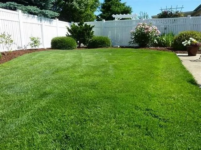 Expert outdoor landscaping in Uniontown, OH by 11:11 Property Management