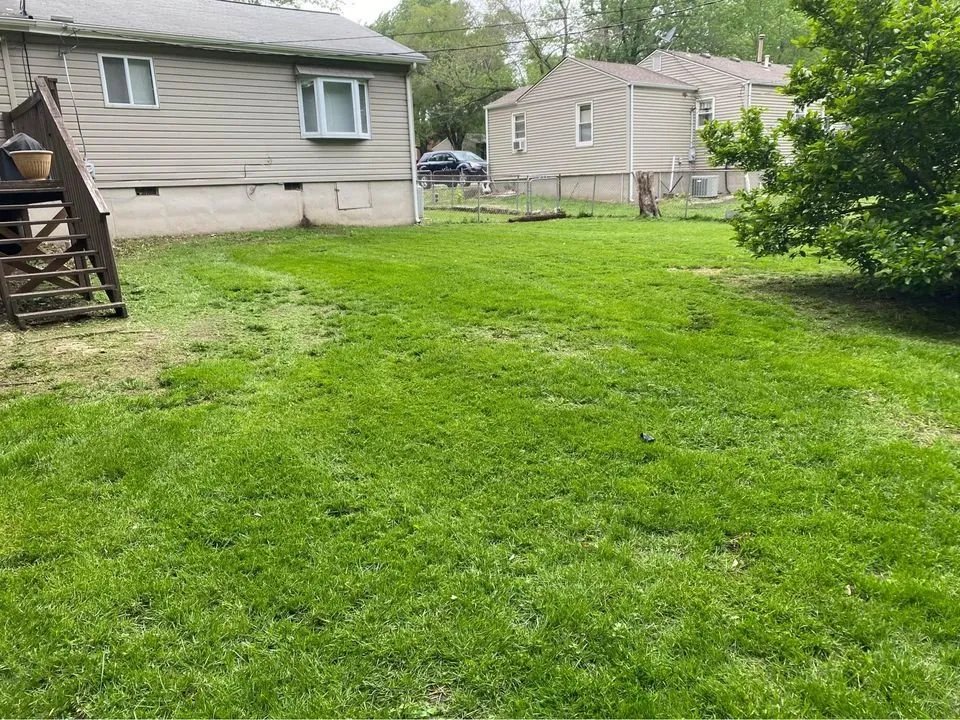 Professional yard maintenance in Buckner, MO - 114 Farm & Home Realty