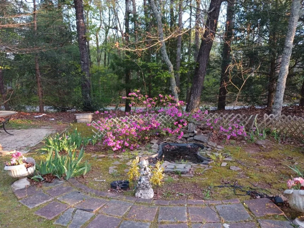 Local lawn mowing service in Dahlonega, GA - 115 Lawn Landscaping Services