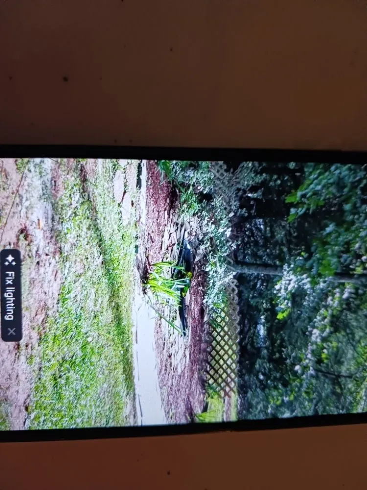 Expert residential landscaping for beautiful yards across Dahlonega, GA - 115 Lawn Landscaping Services