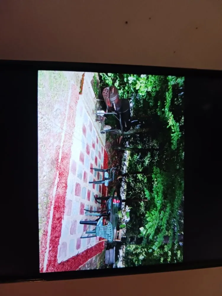 Custom yard maintenance experts serving Dahlonega, GA - 115 Lawn Landscaping Services