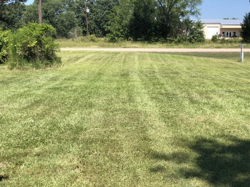 Custom garden landscaping for residential properties across Clarksville, TX - 1159 Dynamix