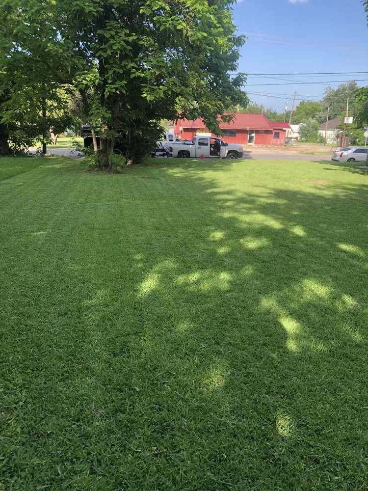 Top-rated outdoor landscaping for homes in Clarksville, TX by 1159 Dynamix