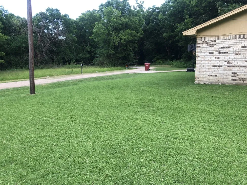 Professional outdoor landscaping with custom design across Clarksville, TX - 1159 Dynamix