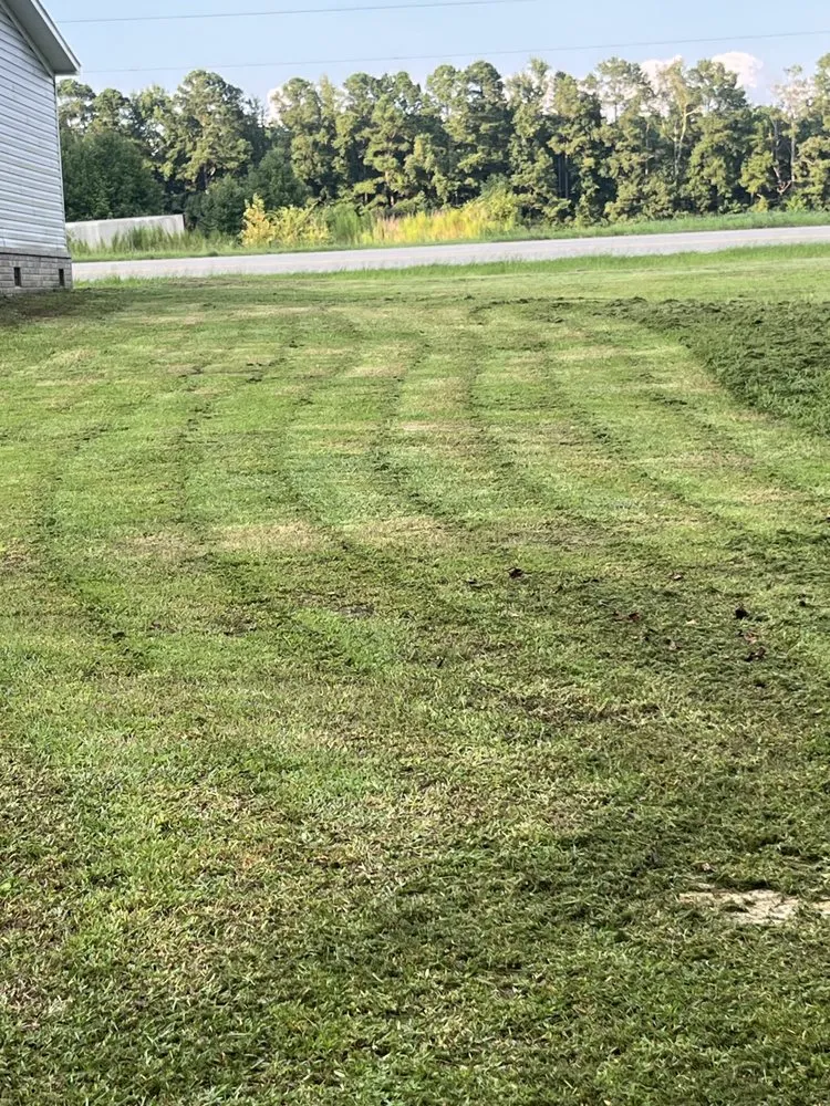 Local lawn care service for outdoor upgrades across Burgaw, NC - 120 Lawn Services