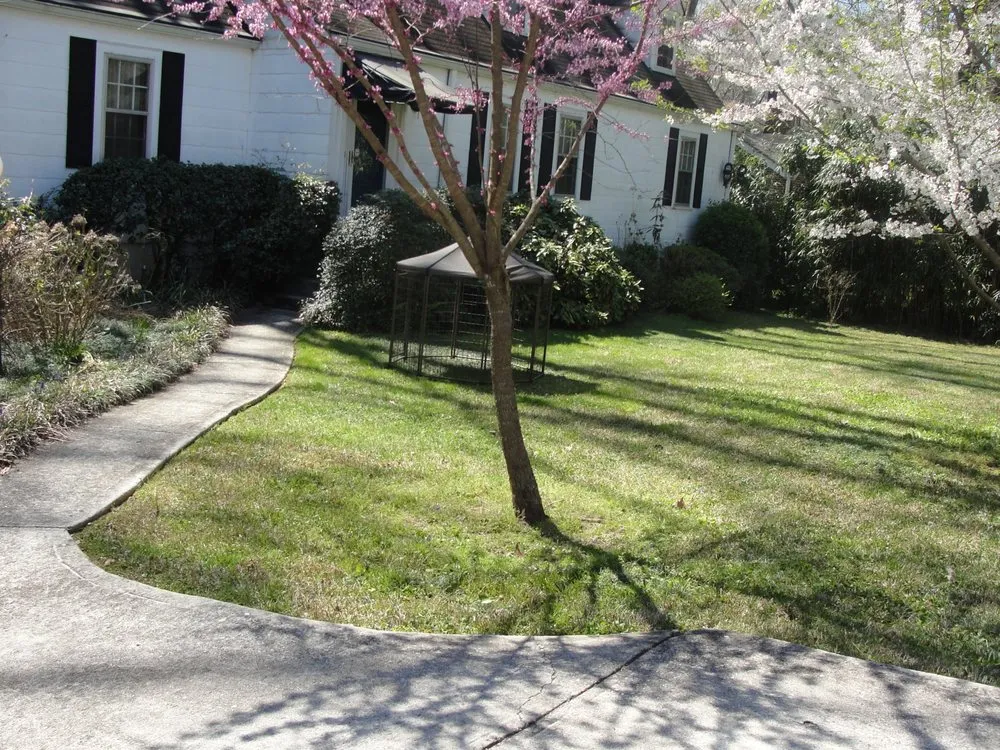 Professional yard cleanup service for homes across Atlanta, GA - 123 Green Lawns