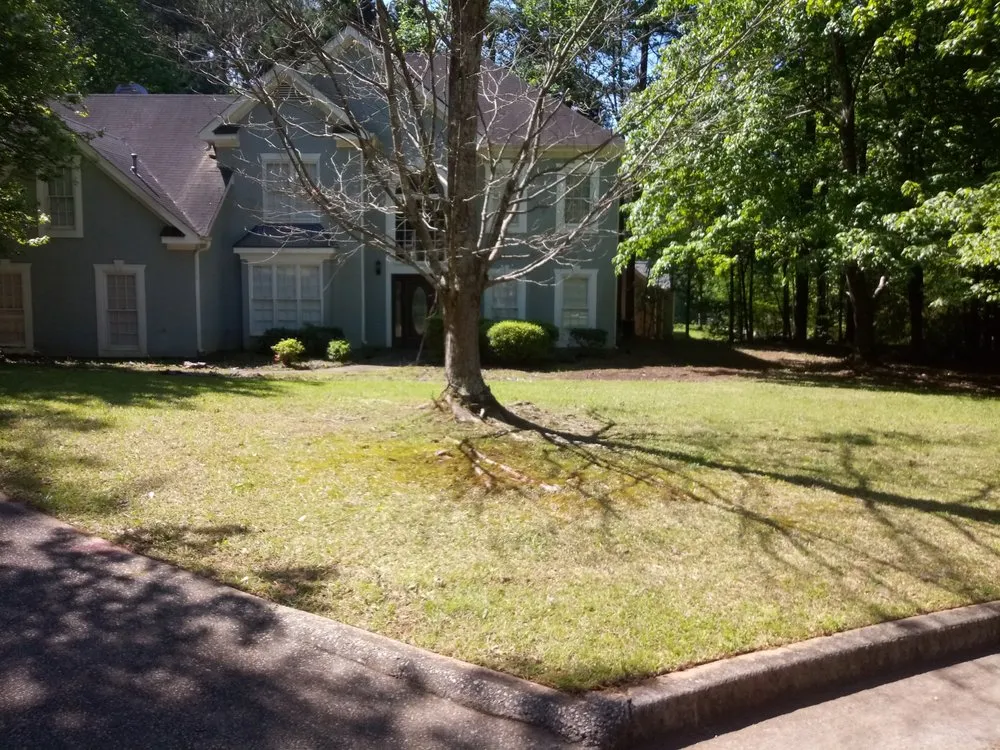 Reliable landscaping services in Atlanta, GA by 123 Green Lawns