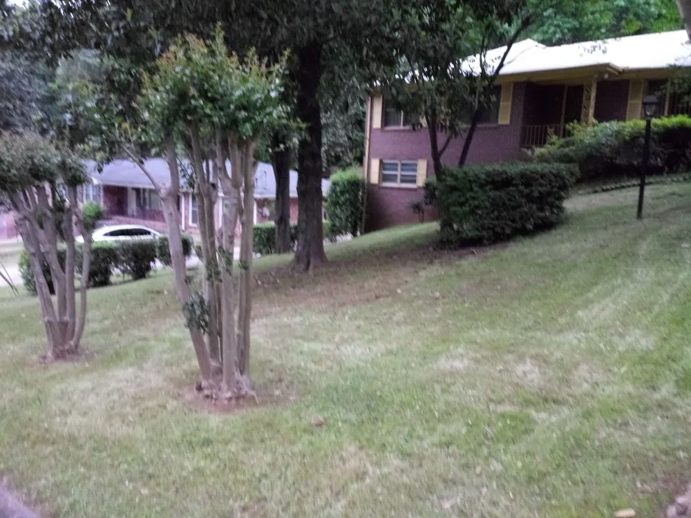 Custom landscape installation for year-round maintenance in Atlanta, GA by 123 Green Lawns