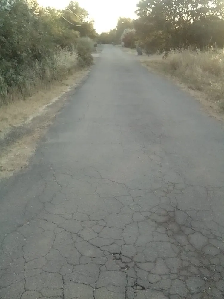 Expert landscape installation for beautiful yards across Oroville, CA - 123 Landscape