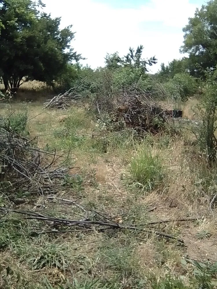 Local landscaping services in Oroville, CA by 123 Landscape