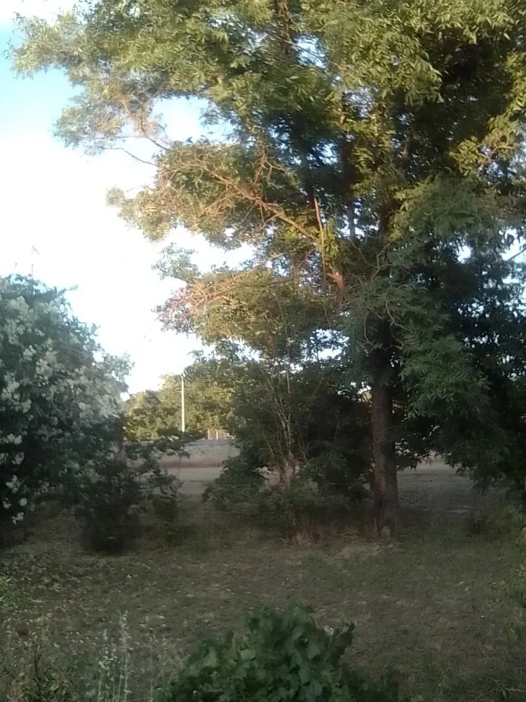 Affordable landscaping services in Oroville, CA - 123 Landscape