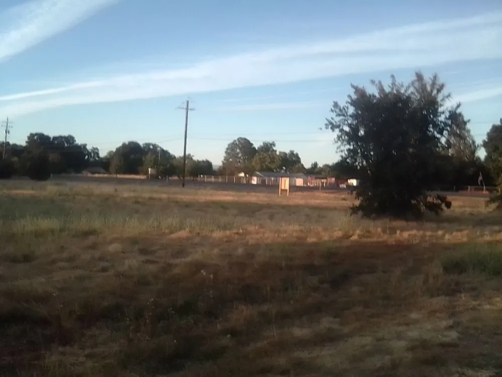 Reliable landscaping services experts serving Oroville, CA - 123 Landscape