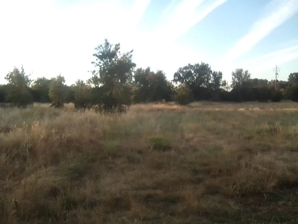 Affordable lawn care service for homes across Oroville, CA - 123 Landscape