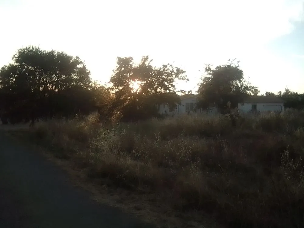 Affordable landscaping services for beautiful yards in Oroville, CA by 123 Landscape