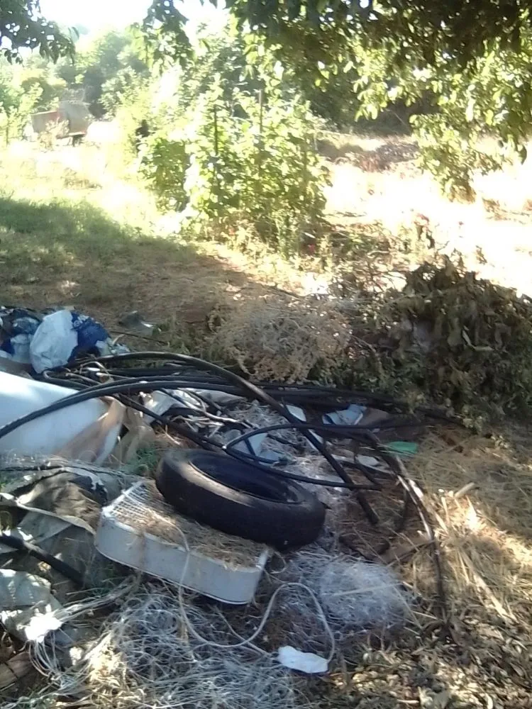 Expert landscape design with custom design across Oroville, CA - 123 Landscape