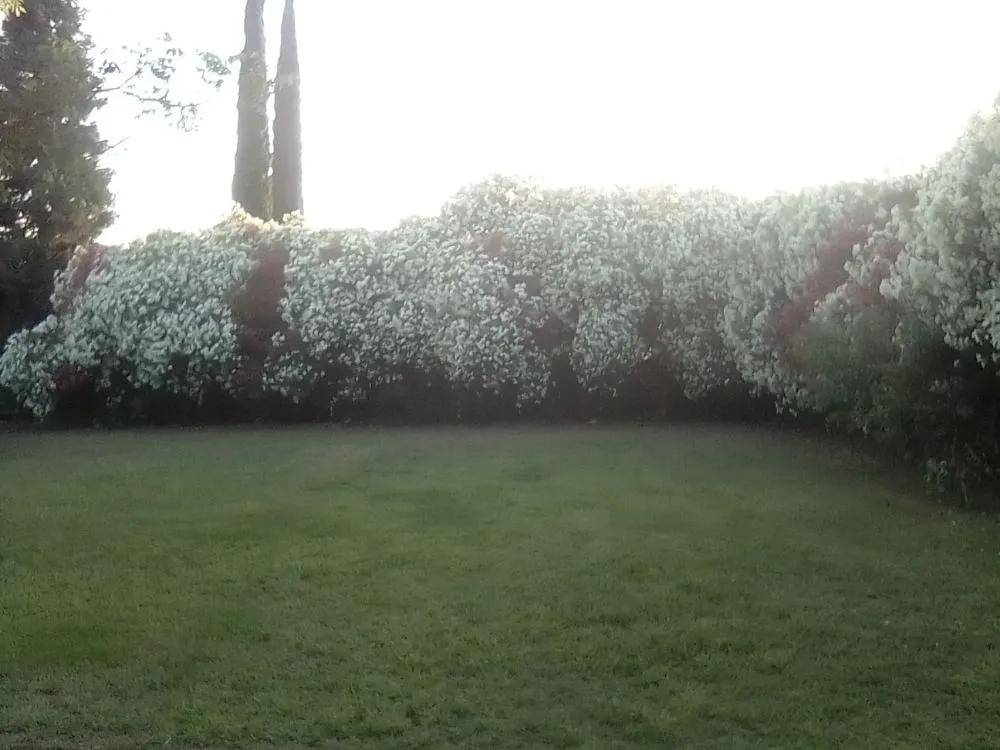 Professional residential landscaping experts serving Oroville, CA - 123 Landscape