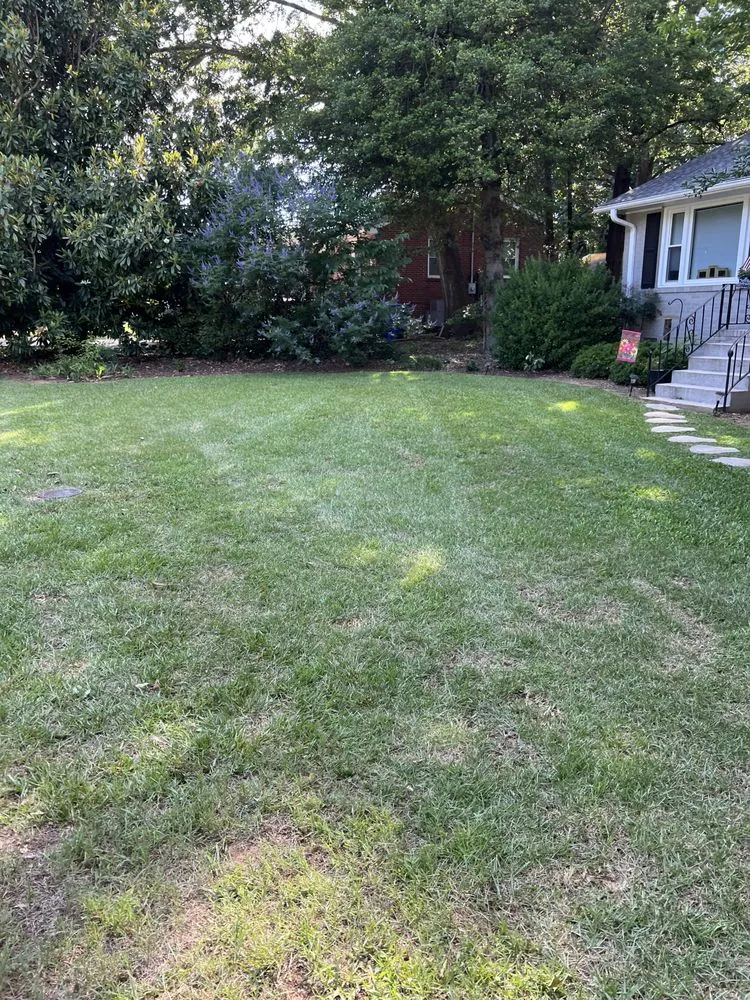 Custom lawn care service in Greenville, SC by 123 Lawncare