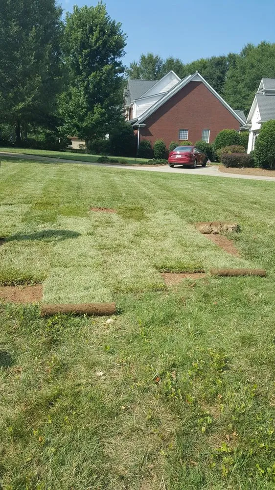 Local lawn care service in Greenville, SC by 123 Lawncare