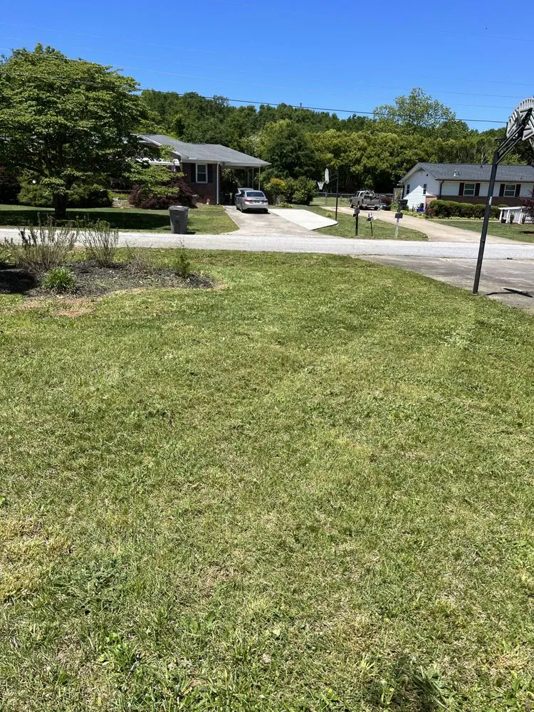 Top-rated landscaping services in Greenville, SC - 123 Lawncare