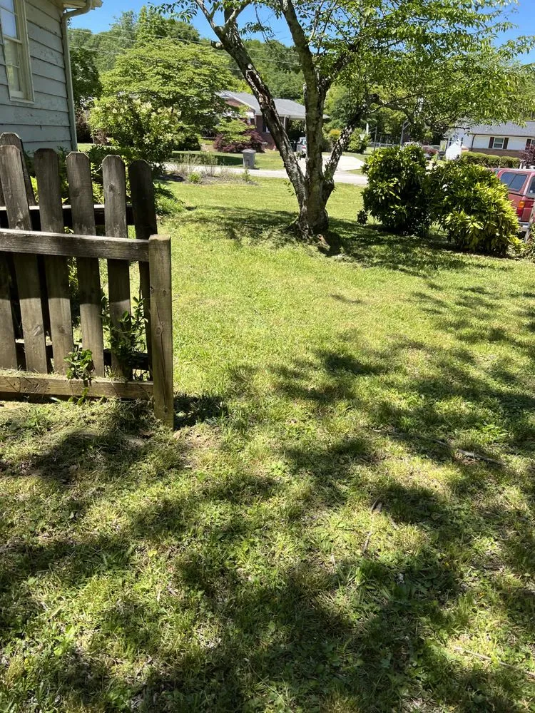 Affordable yard maintenance for residential properties in Greenville, SC by 123 Lawncare
