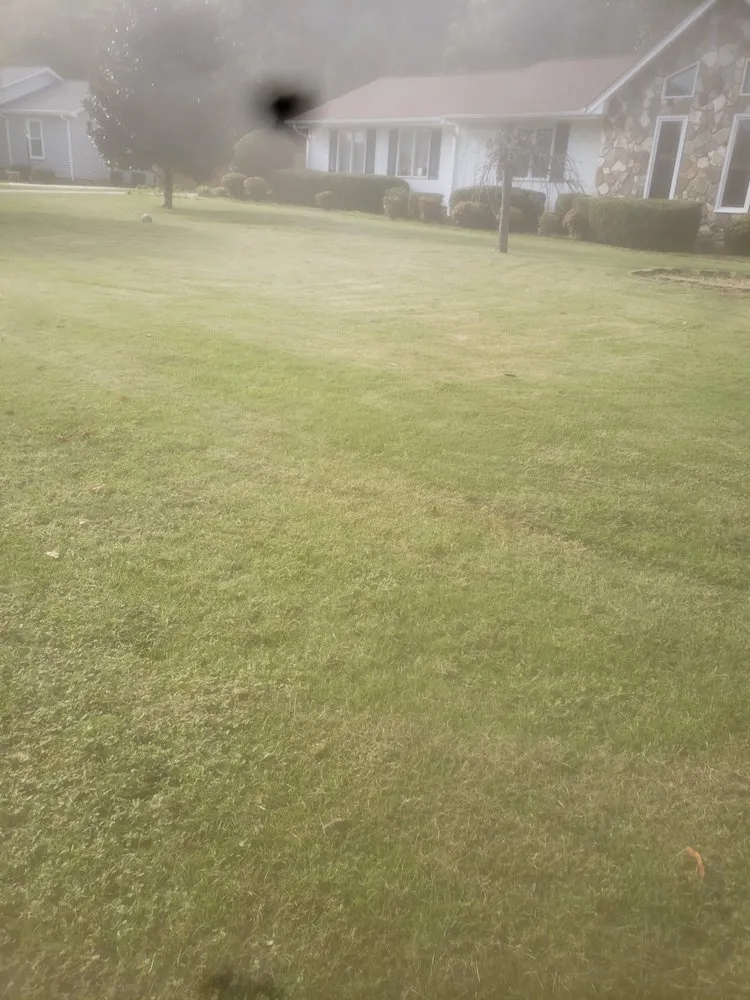 Expert garden landscaping for homes across Greenville, SC - 123 Lawncare