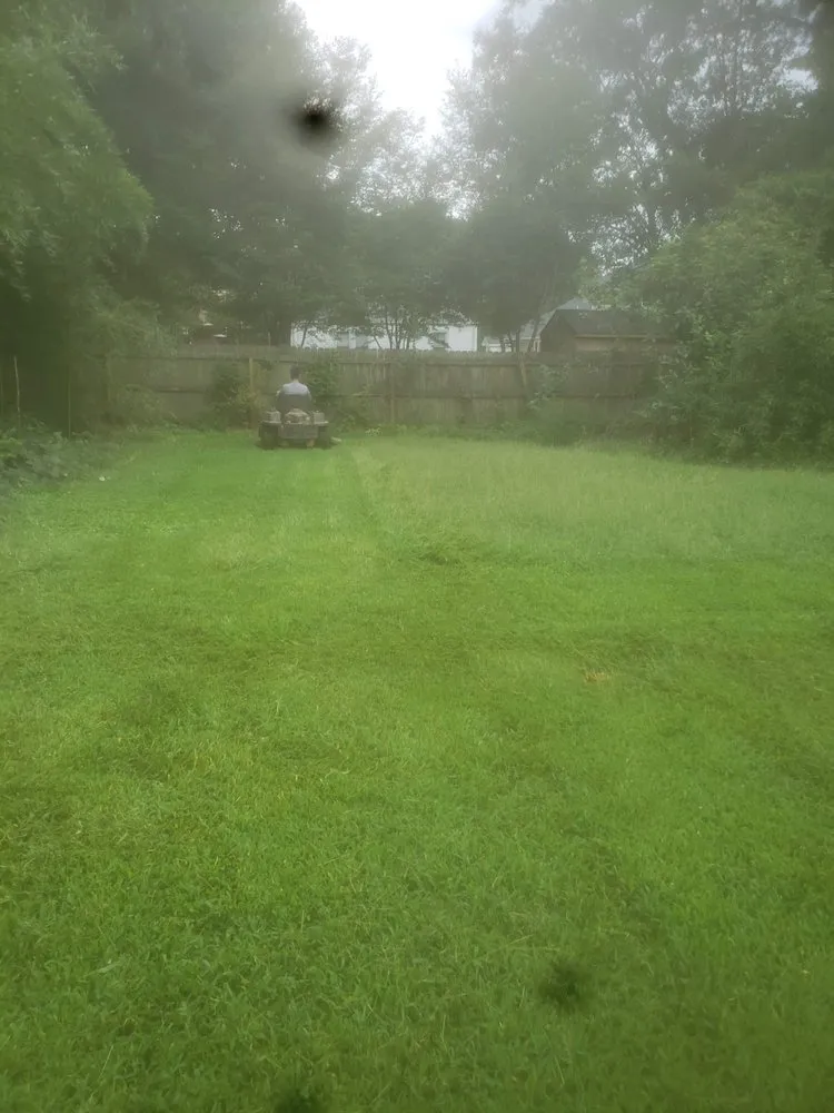 Custom landscape installation in Greenville, SC - 123 Lawncare