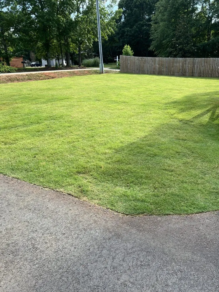 Affordable garden landscaping for year-round maintenance across Greenville, SC - 123 Lawncare