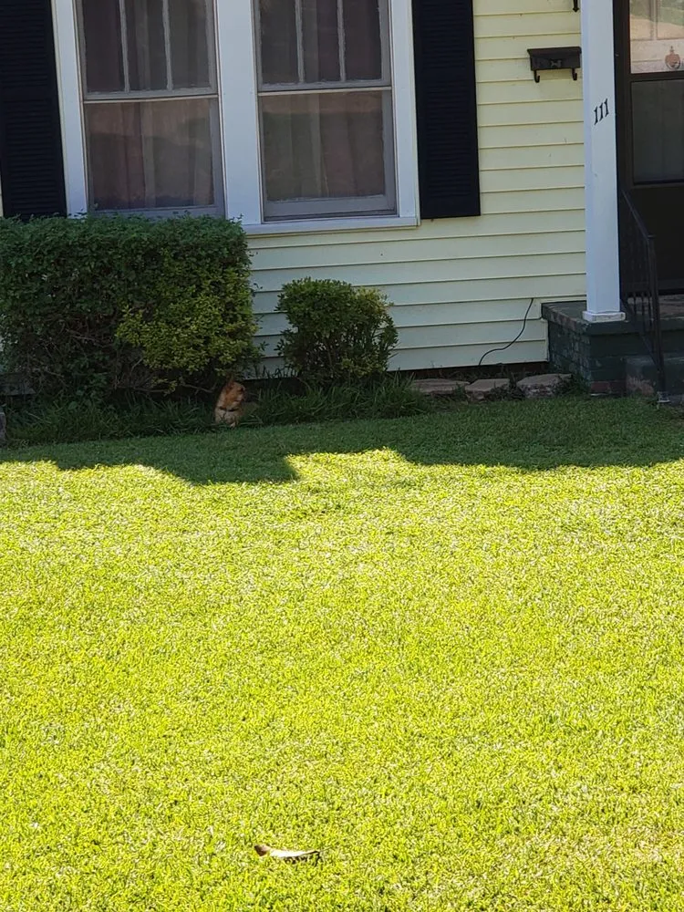 Affordable lawn care service experts serving Greenville, SC - 123 Lawncare