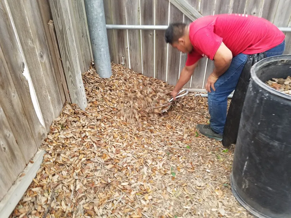 Professional landscape design in McAllen, TX - 123 RGV Services