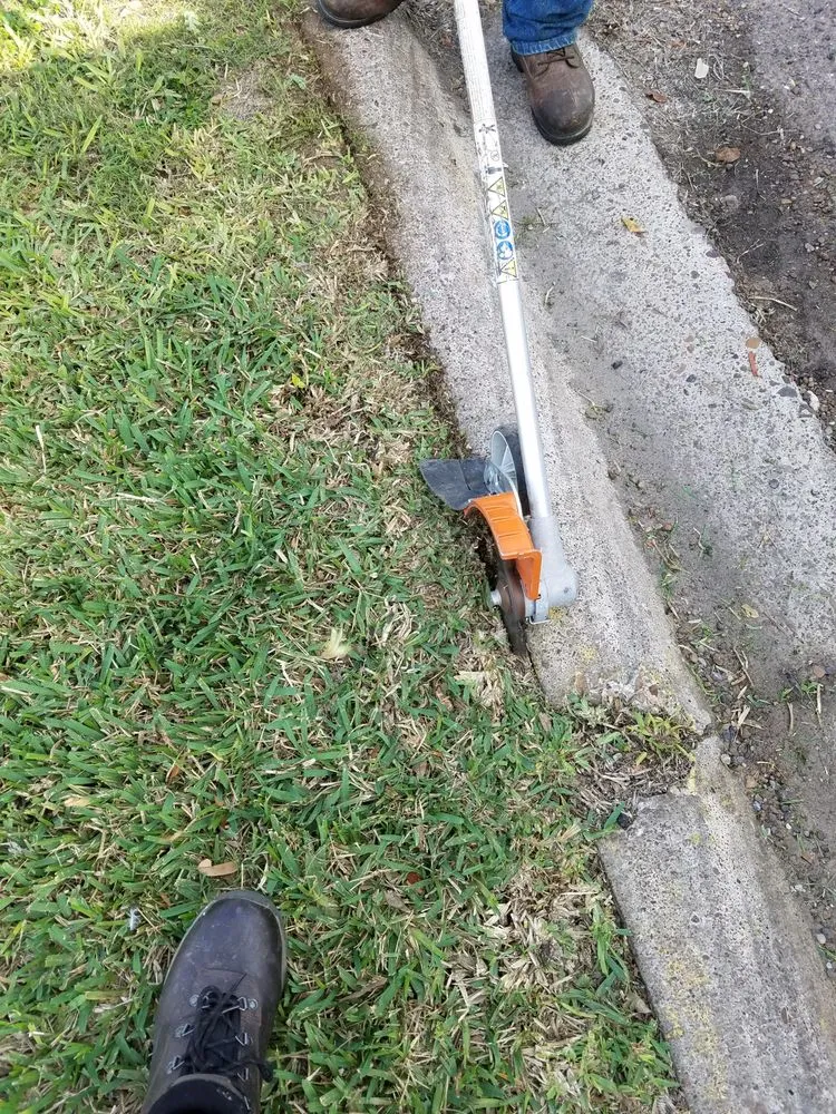 Affordable yard maintenance for beautiful yards across McAllen, TX - 123 RGV Services