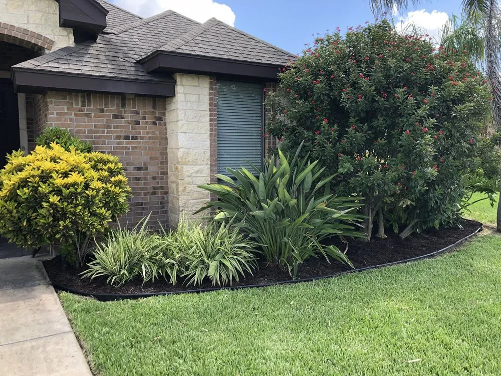 Trusted yard maintenance experts serving McAllen, TX - 123 RGV Services