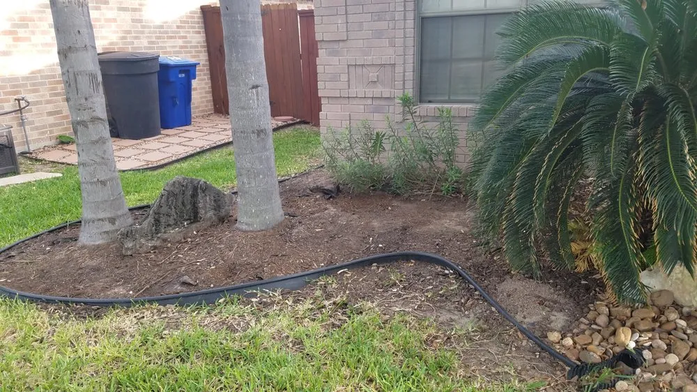 Professional landscaping services for homes across McAllen, TX - 123 RGV Services
