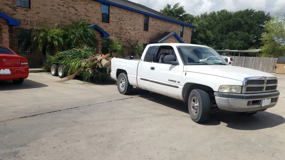 Professional yard cleanup service in McAllen, TX - 123 RGV Services