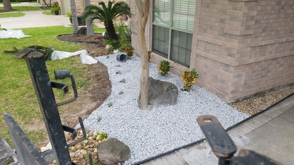 Professional yard cleanup service for beautiful yards in McAllen, TX by 123 RGV Services