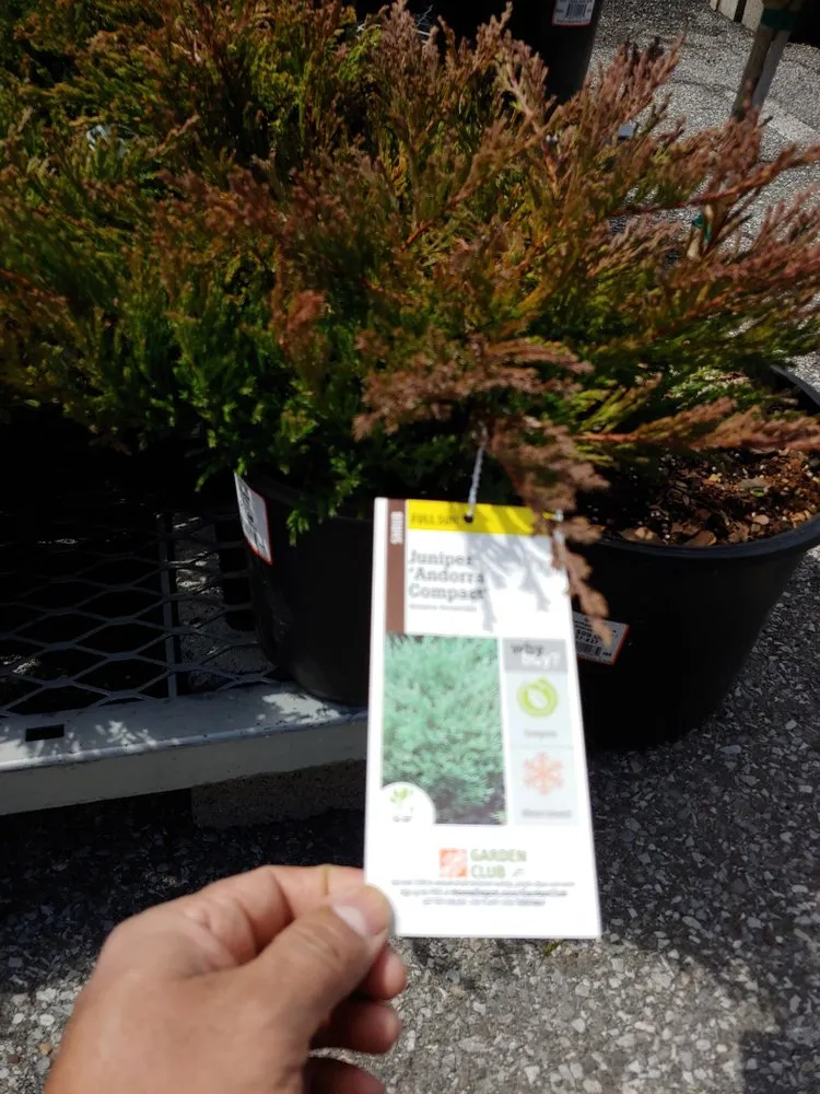 Trusted outdoor landscaping experts serving Peekskill, NY - 123Flash-handyman
