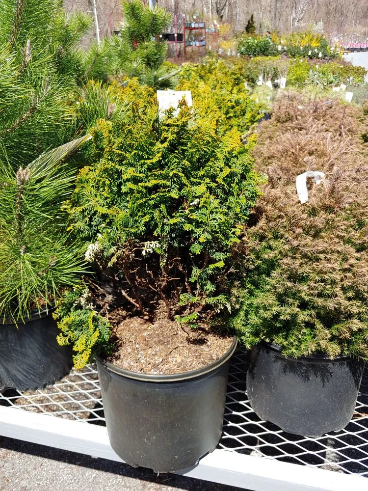 Custom landscape design experts serving Peekskill, NY - 123Flash-handyman