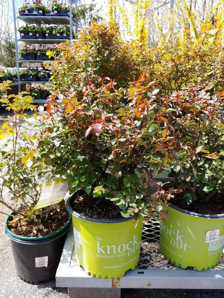 Custom yard maintenance for homes across Peekskill, NY - 123Flash-handyman